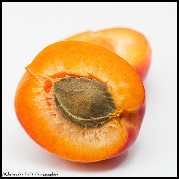 abricot (4)