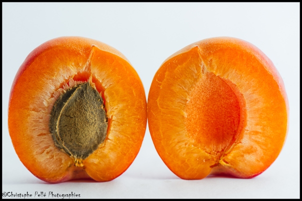 abricot (5)